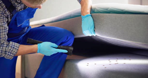 Best Pest Control Near Me  in Bennett, CO