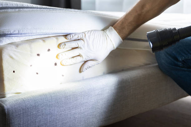 Pest Control for Restaurants in Bennett, CO